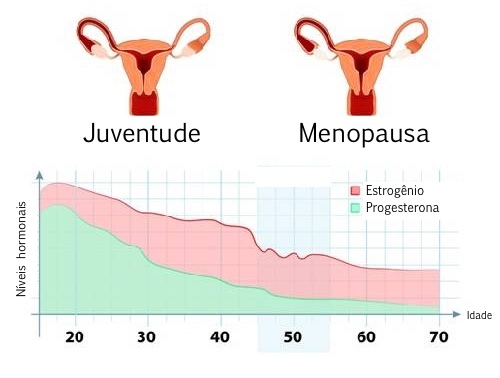 Hormônios e Menopausa